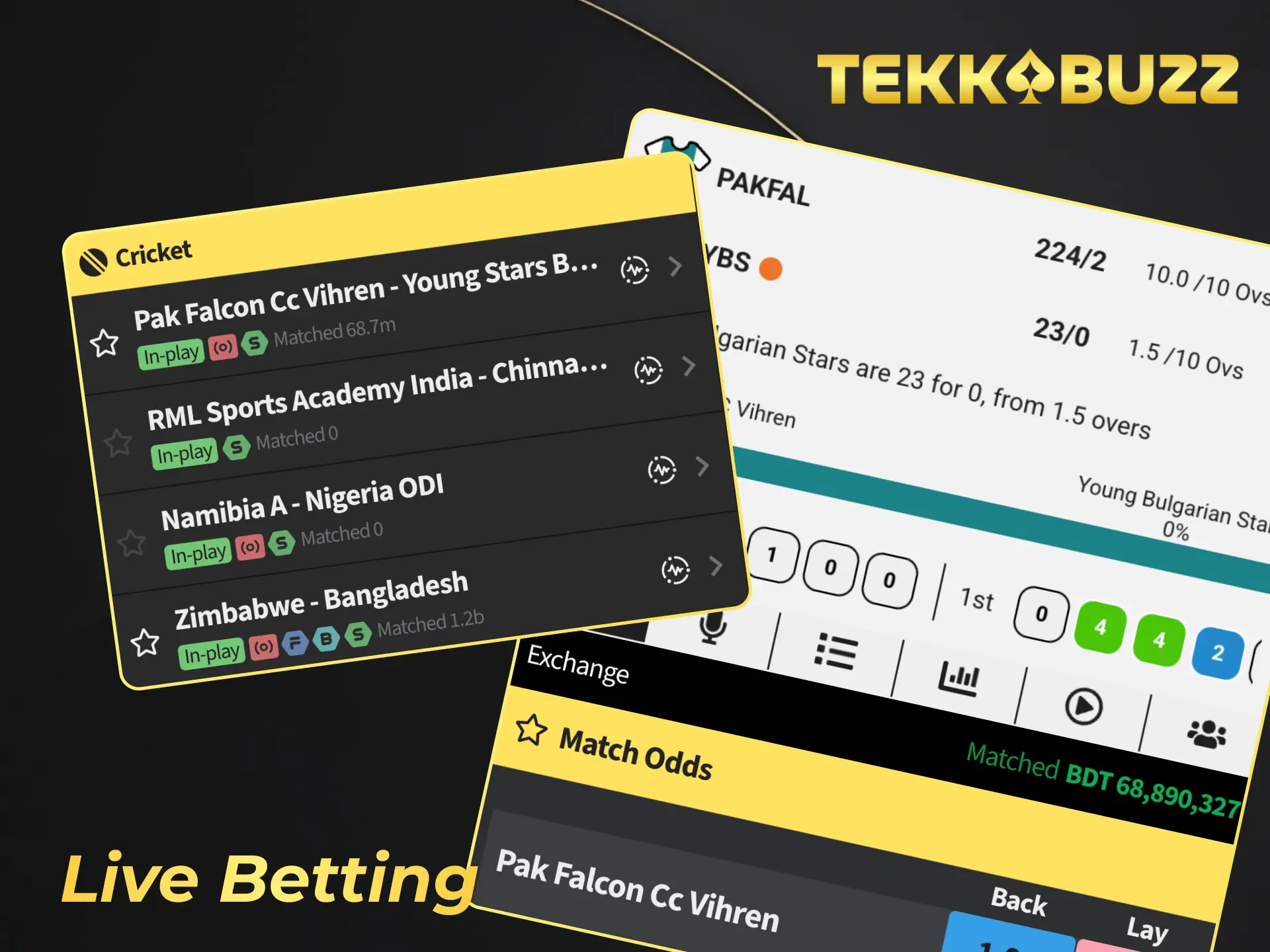 Enjoy the thrill of real time action with TekkaBuzz live betting.