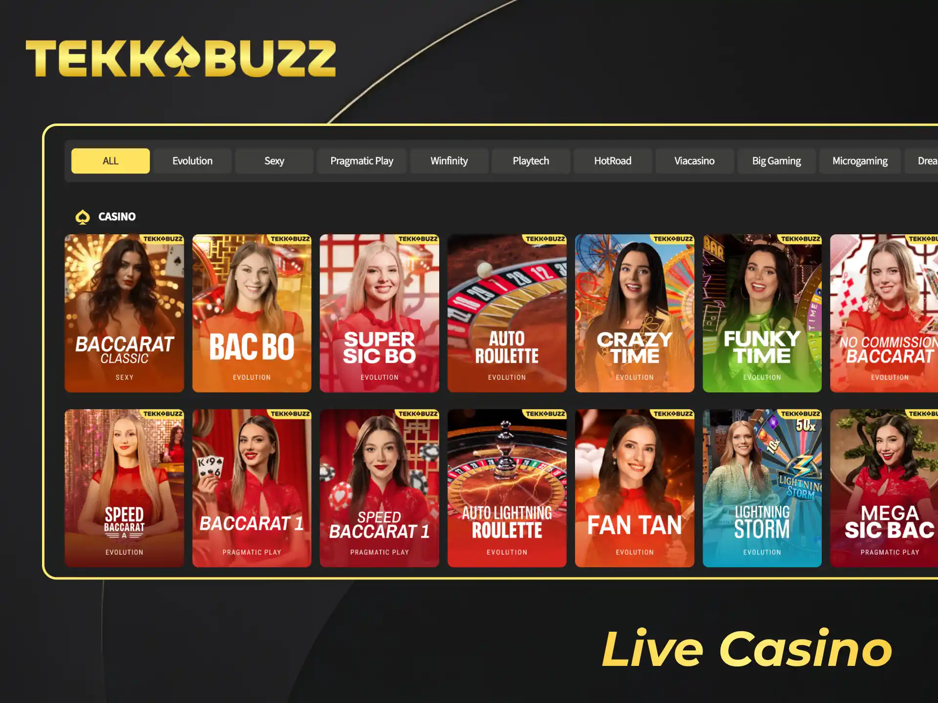 Play top table games with professional dealers at TekkaBuzz live casino.