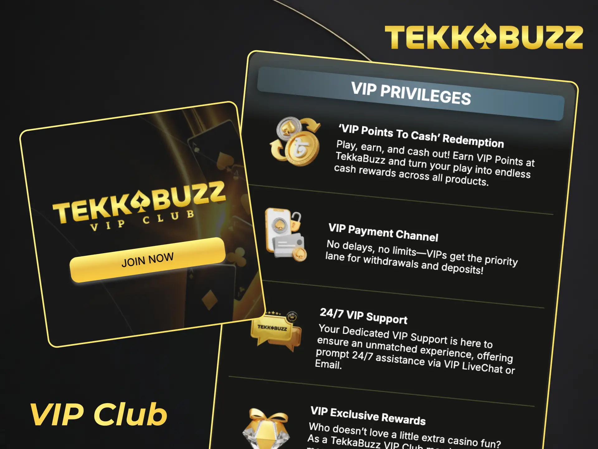 Join the exclusive TekkaBuzz VIP club to unlock premium loyalty rewards.